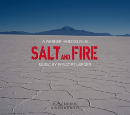 Salt And Fire