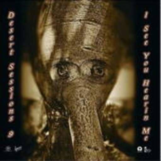 Desert Sessions – 9 & 10