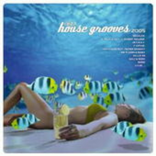 Diverse – Ibiza House Grooves 2005
