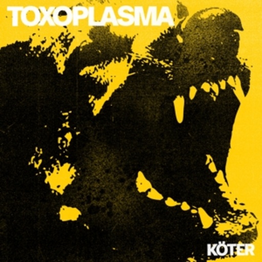 Toxoplasma – Köter