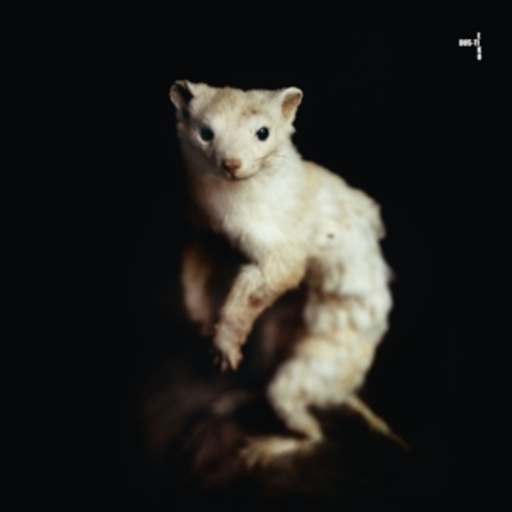 Dus-ti/Eiko – Dus-ti & Eiko