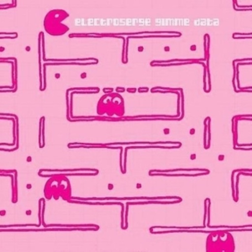 Electroserge – Gimme Data