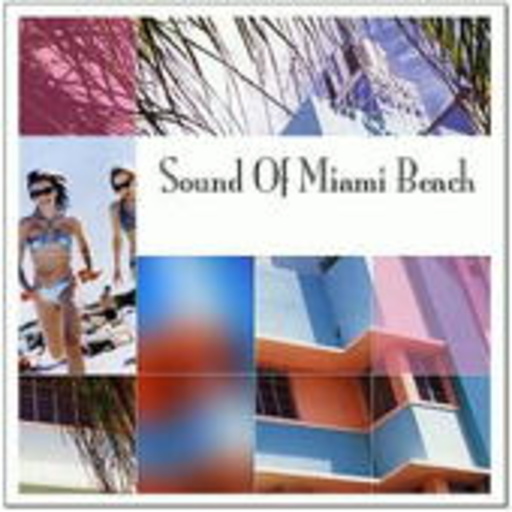 Diverse – Sound Of Miami Beach