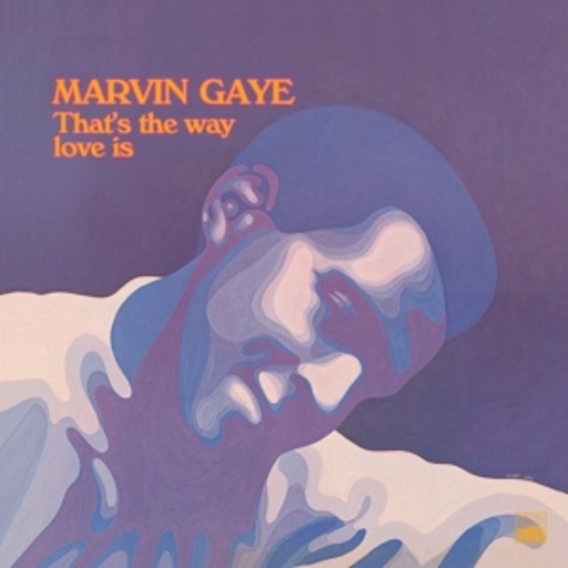 Marvin Gaye – That's The Way Love Is