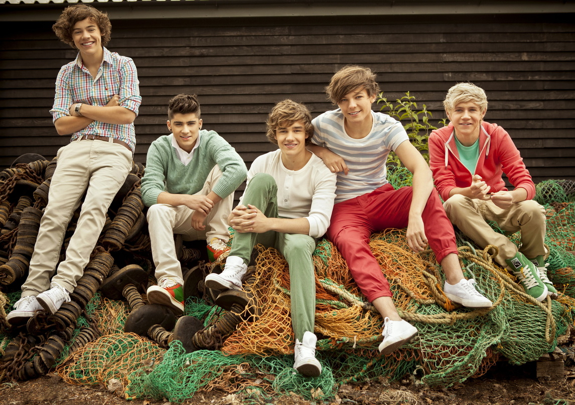 Interkontinental auf Erfolgskurs: One Direction
