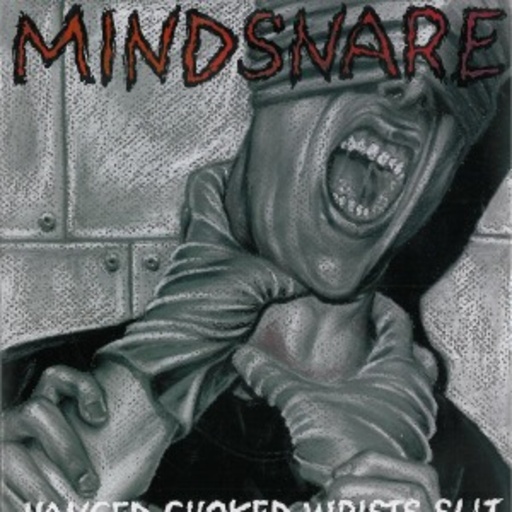 Mindsnare – Hanged, Choked, Wrists Slit