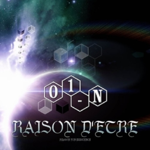 01-N – Raison D'etre