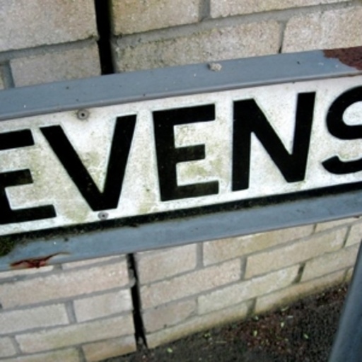 The Evens – 2 Songs
