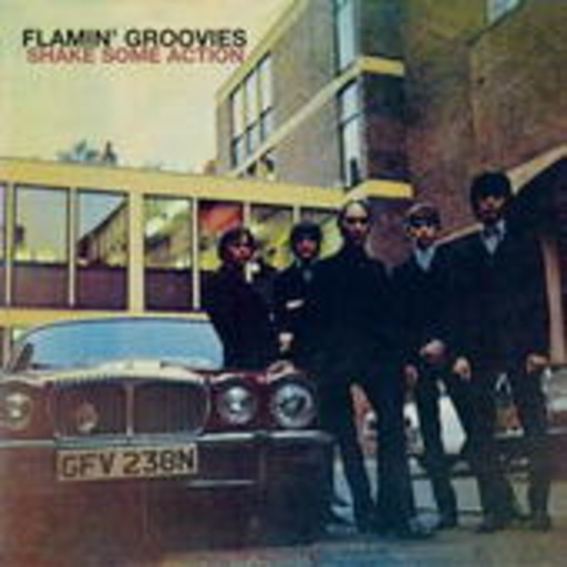 Flamin' Groovies – Shake Some Action