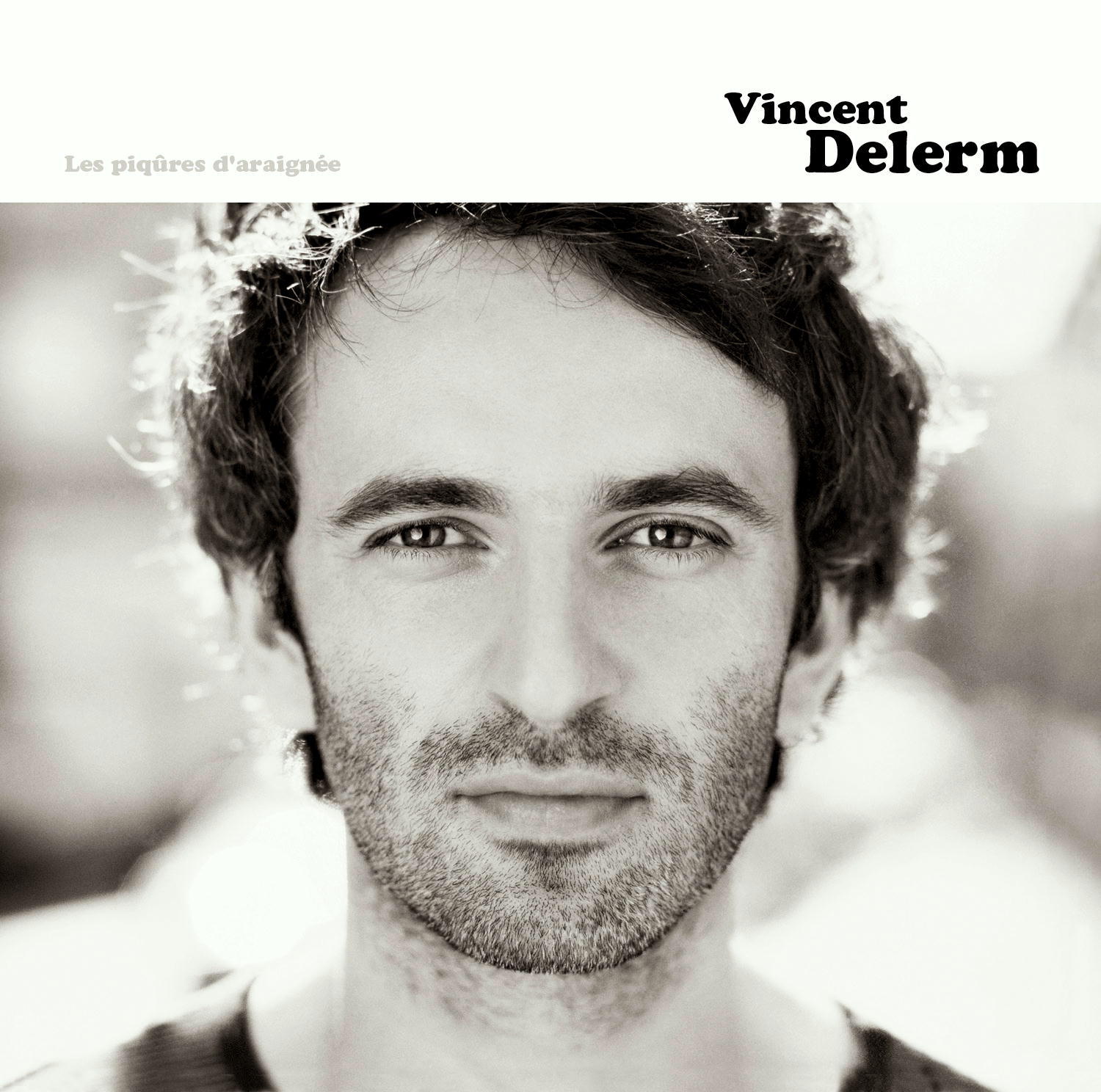 Vincent Delerm – Les Piqures D'Araigneées
