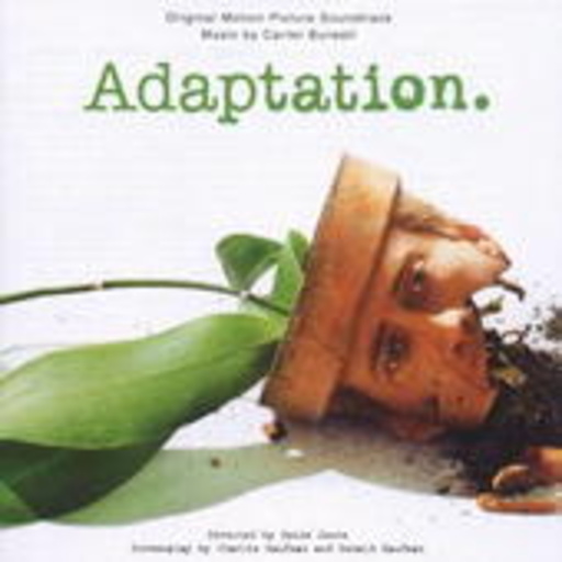 Diverse – Adaptation