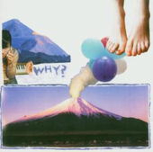 Why? – Elephant Eyelash