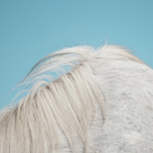 Widowspeak – All Yours