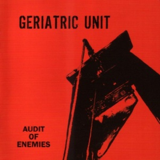 Geriatric Unit – Audit Of Enemys