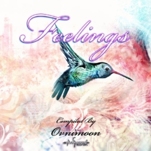 Diverse – Feelings