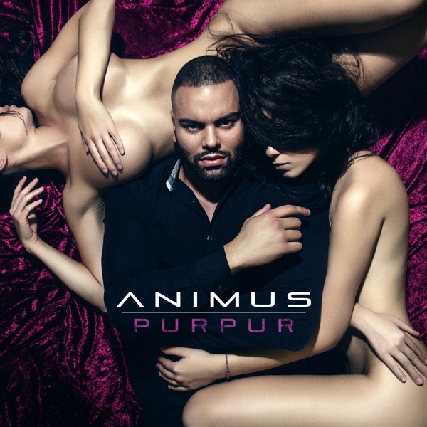 Animus – Purpur