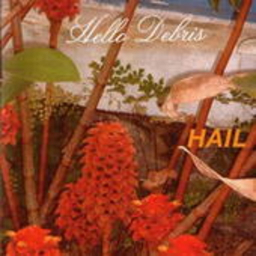 Hail – Hello Debris