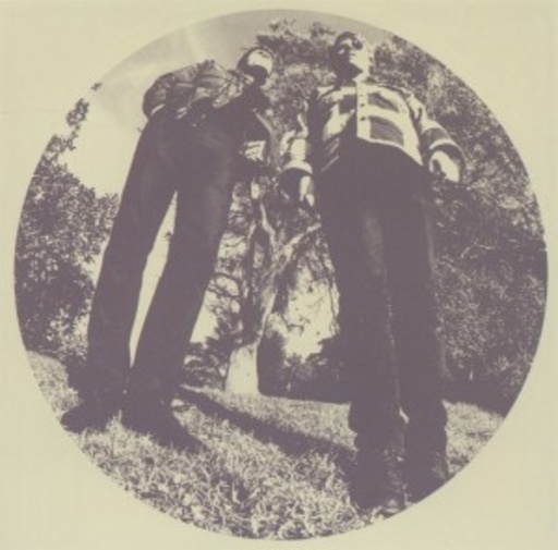 Ty Segall & White Fence – Hair