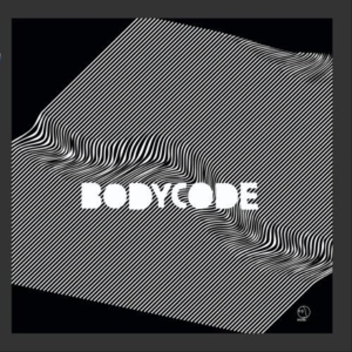 Bodycode – The Conversation Of Electric Charge