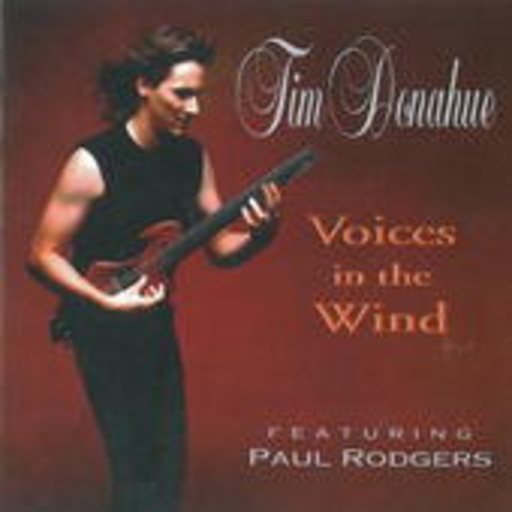 Tim Donahue – Voices In The Wind