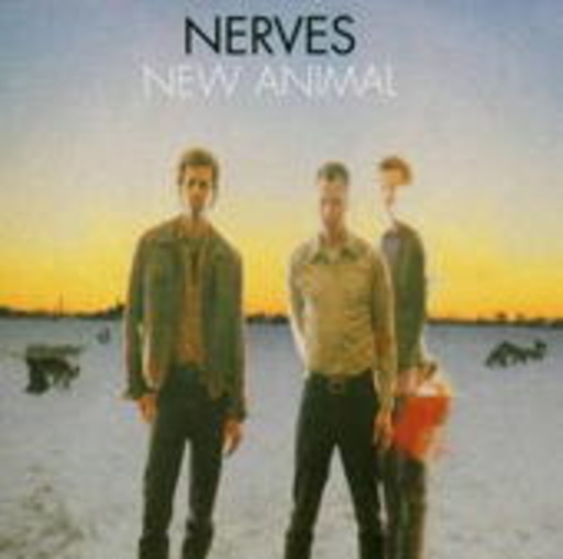 Nerves – New Animal