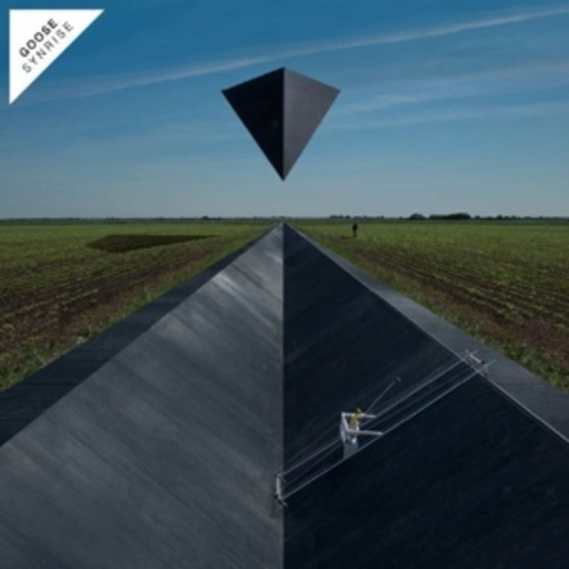 Goose – Synrise