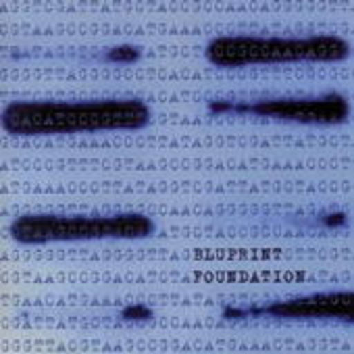 Bluprint – Foundation