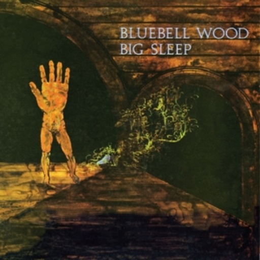 Big Sleep – Bluebell Wood