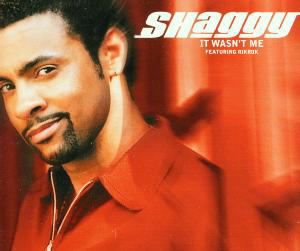 Shaggy – It Wasn't Me