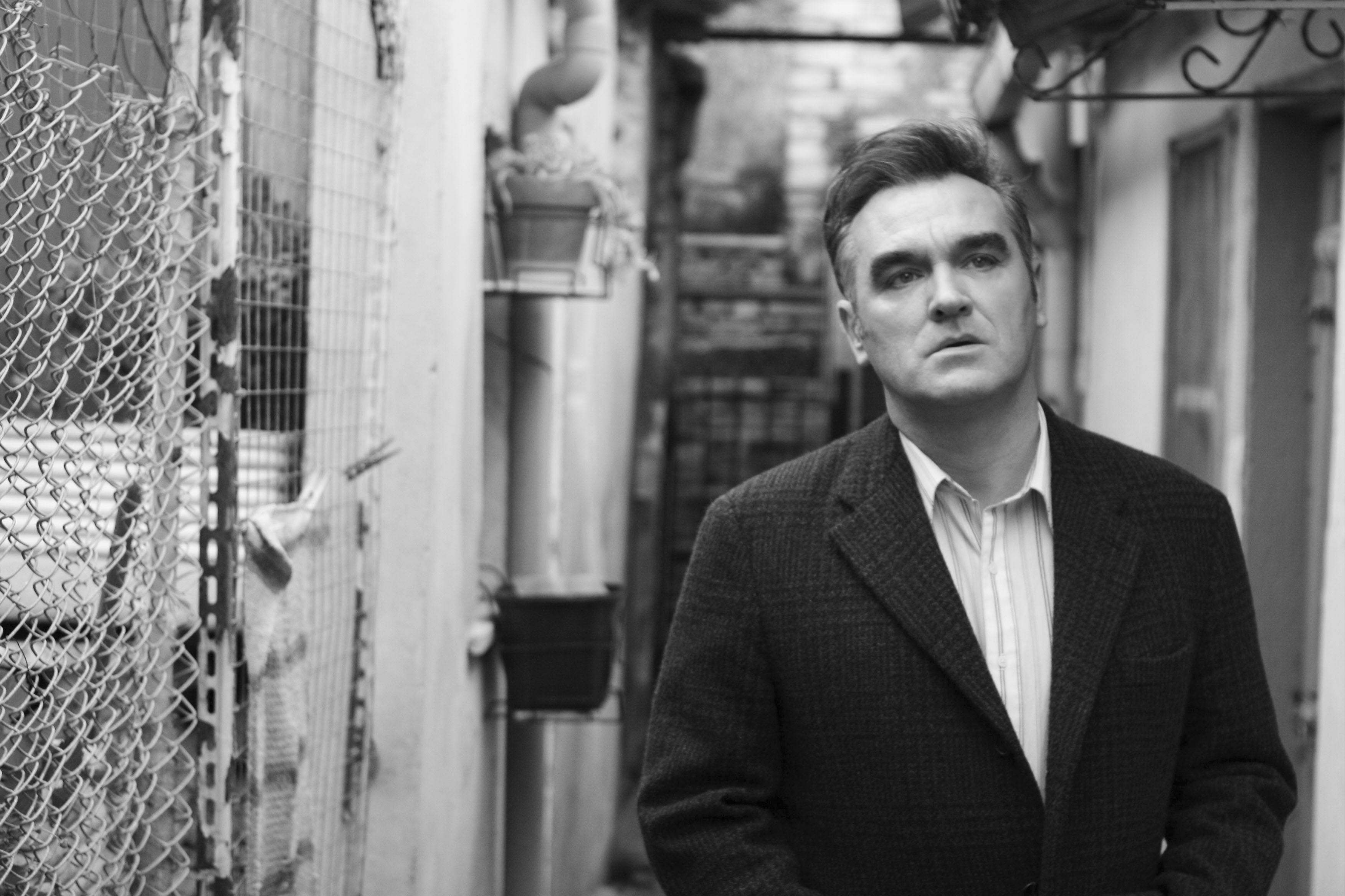 Morrissey