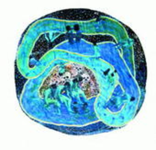 A Space Water Loop