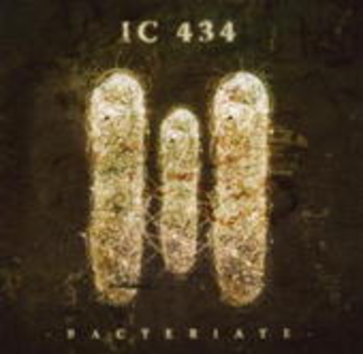 IC 434 – Bacteriate
