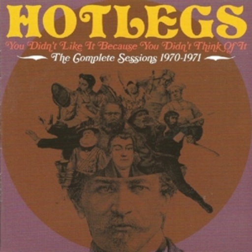 Hotlegs – You Didn't Like It Because You Didn't...