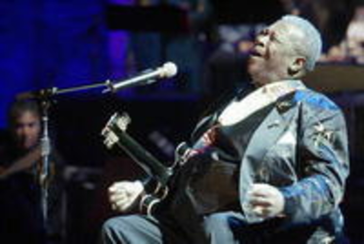 Im Hamburger Stadtpark zu bewundern: Blueslegende B.B. King
