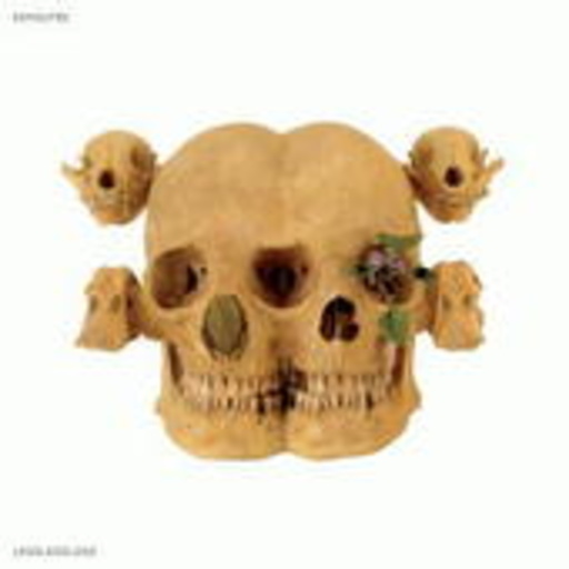 Kohoutek – Lossless Loss