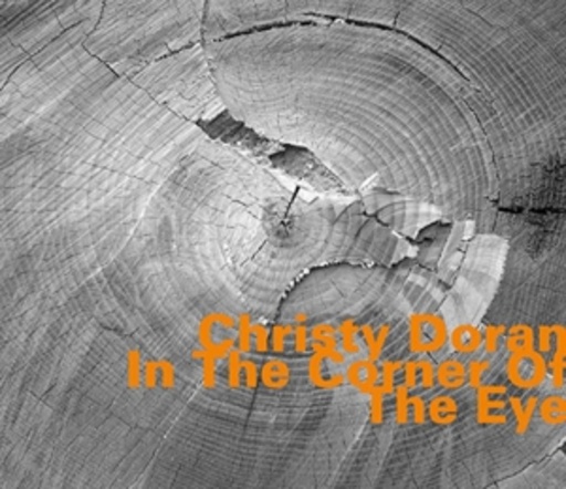 Christy Doran – In The Corner Of The Eye - Solos & Duos