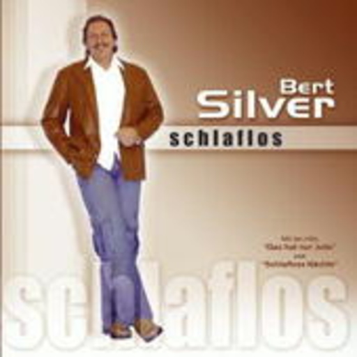 Bert Silver – Schlaflos