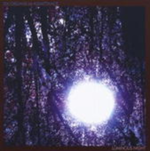 Six Organs Of Admittance – Luminous Night