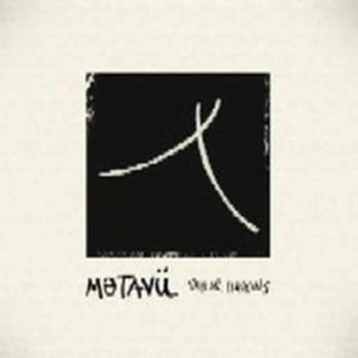 Taylor Haskins – Metaview
