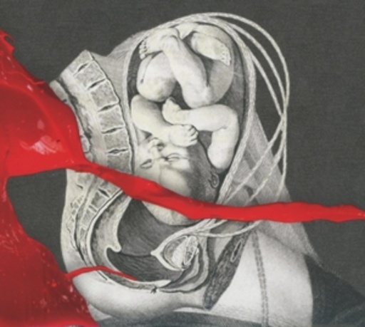 IAMX – The Unified Field