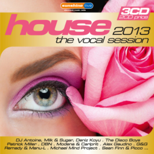 Diverse – House 2013 - The Vocal Session