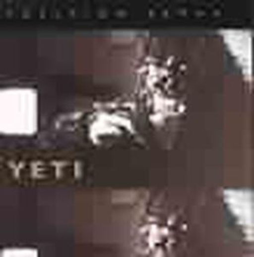 Position Alpha – Yeti