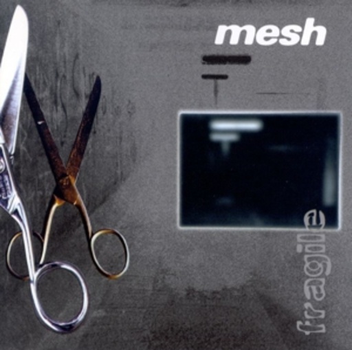 Mesh – Fragile