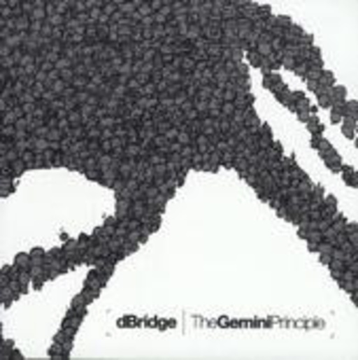 D-Bridge – The Gemini Principle