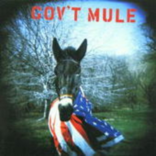 Gov't Mule – Gov't Mule