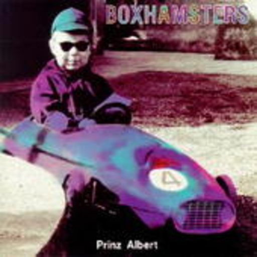 Boxhamsters – Prinz Albert