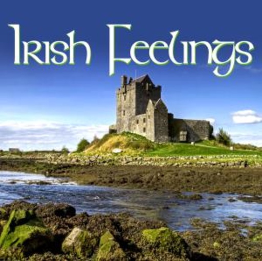 Diverse – Irish Feelings