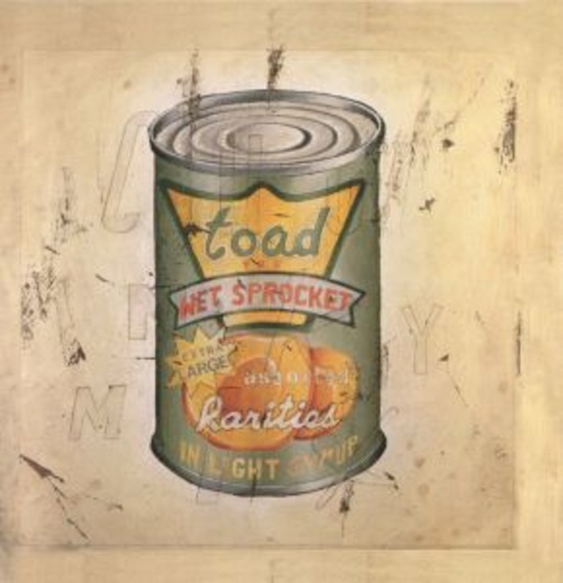 Toad The Wet Sprocket – In Light Syrup