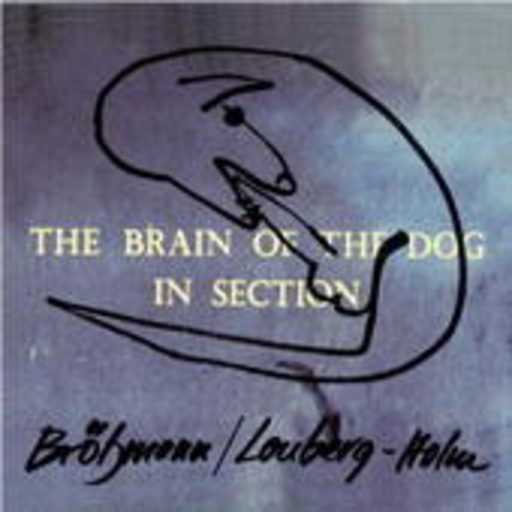 Peter Brötzmann/Fred Lonberg-Holm – The Brain Of The Dog In Section