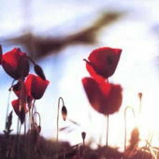 L' Altra – In The Afternoon